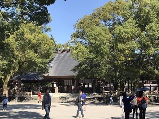 9D441FC8-3A7F-4A90-89DA-D852C38478CF.jpeg