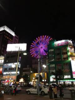 E2DFD733-A83C-486E-BE9C-3C86B07B2870.jpeg