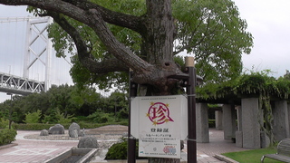 M1160009.JPG